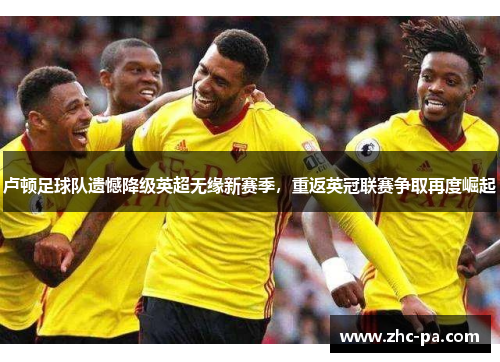 卢顿足球队遗憾降级英超无缘新赛季，重返英冠联赛争取再度崛起