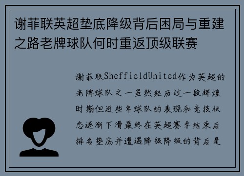 谢菲联英超垫底降级背后困局与重建之路老牌球队何时重返顶级联赛 谢菲联英超垫底降级背后困局与重建之路老牌球队何时重返顶级联赛
